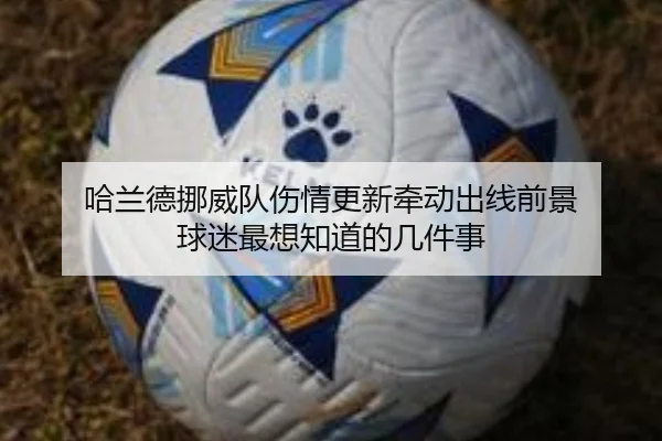 哈兰德挪威队伤情更新牵动出线前景 球迷最想知道的几件事